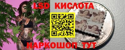 гидра Кингисепп