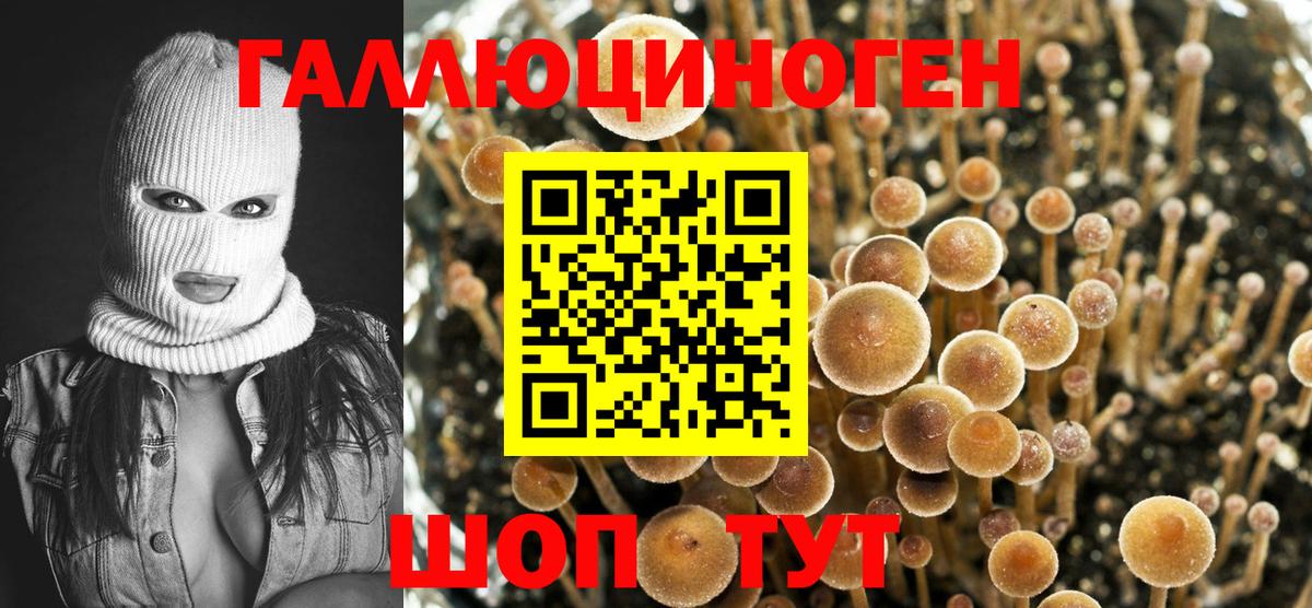 Кисловодск  Галлюциногенные грибы Cubensis  Вход с VPN  как найти закладки  Псилоцибиновые грибы Magic Shrooms 